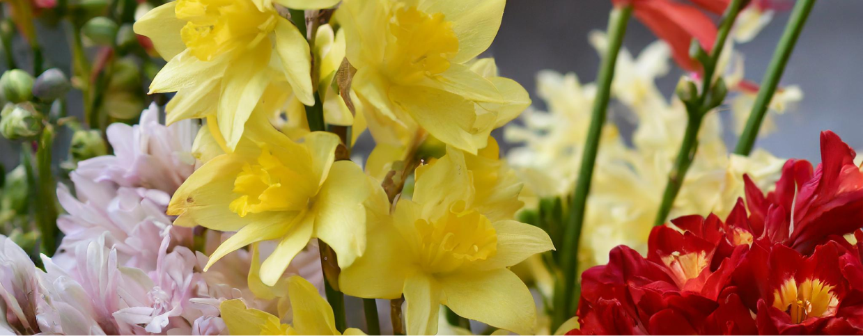 Transforming Floristry with Data: A Comprehensive Guide