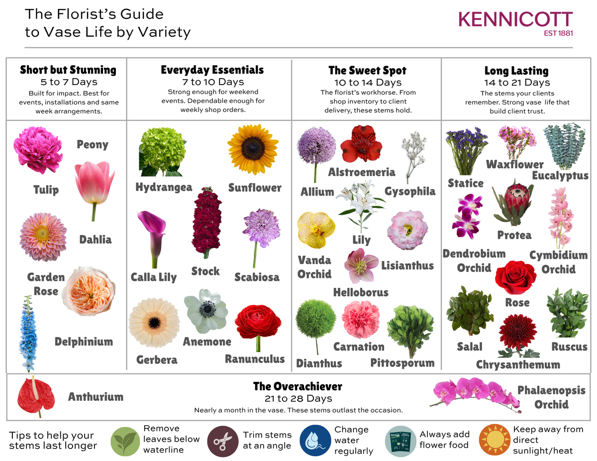 The Florist's Guide to Vase Life by Variety