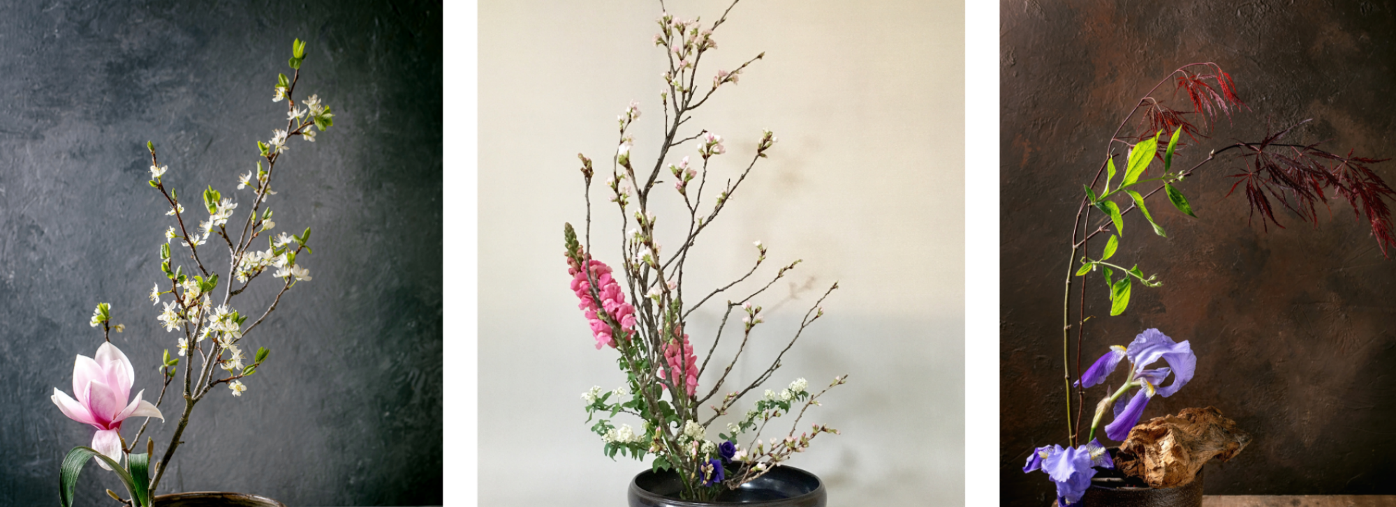 Discover the Art of Ikebana