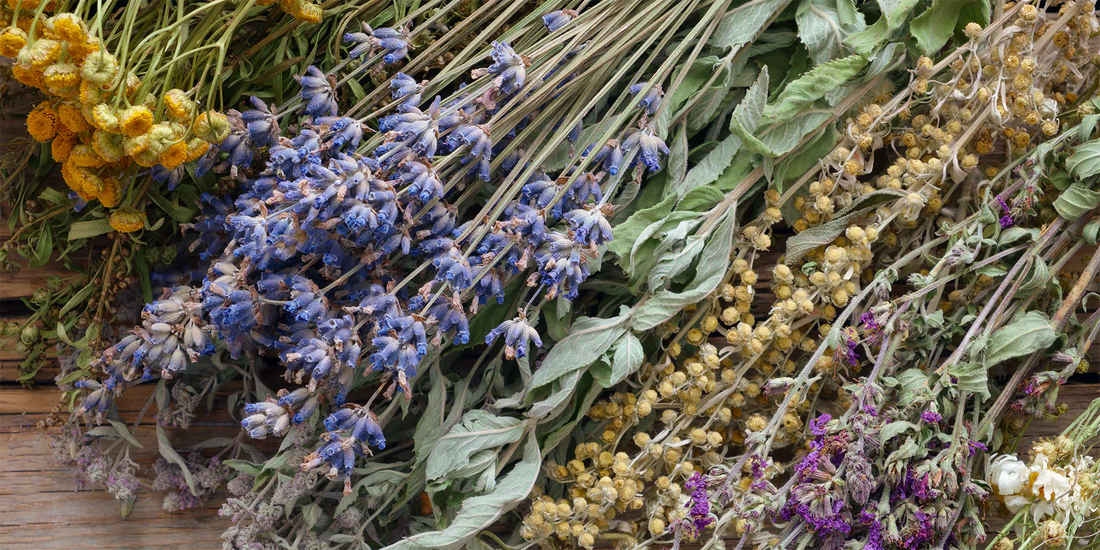 Blooming Wellness: Embrace the Healing Properties of Floral Therapy