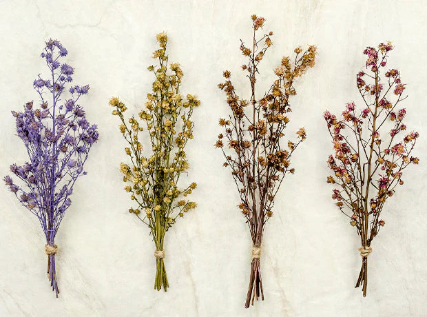 Embrace Sustainability With Dried Flowers