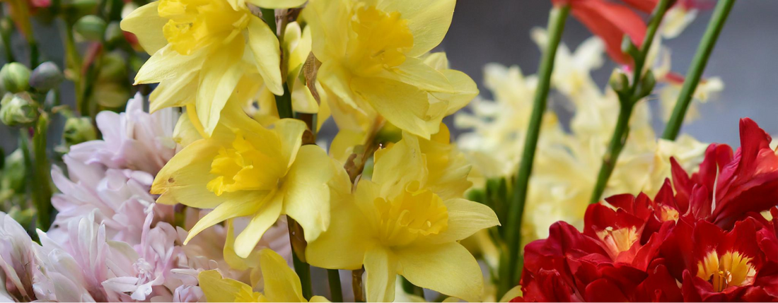 Transforming Floristry with Data: A Comprehensive Guide