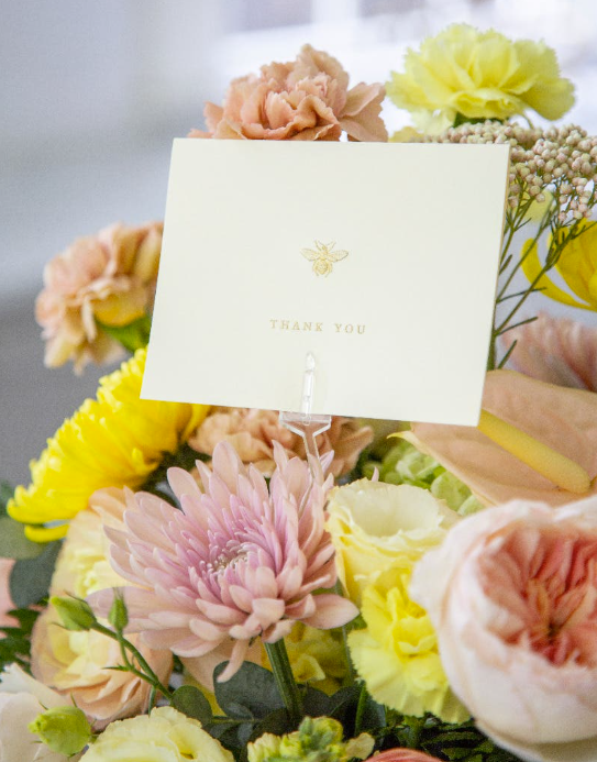 Cards & Card Holders