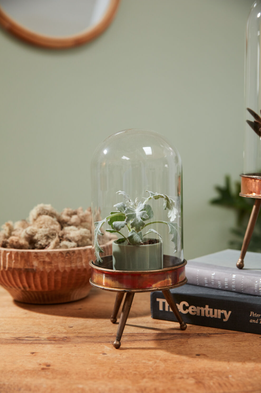 Cloches