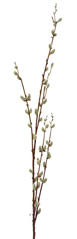 46 Gray Pussy Willow Branch