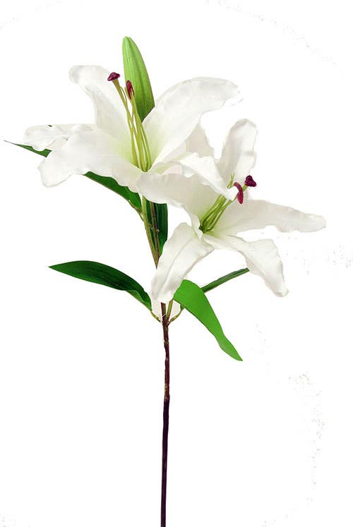 39 White Lily Garden Stem