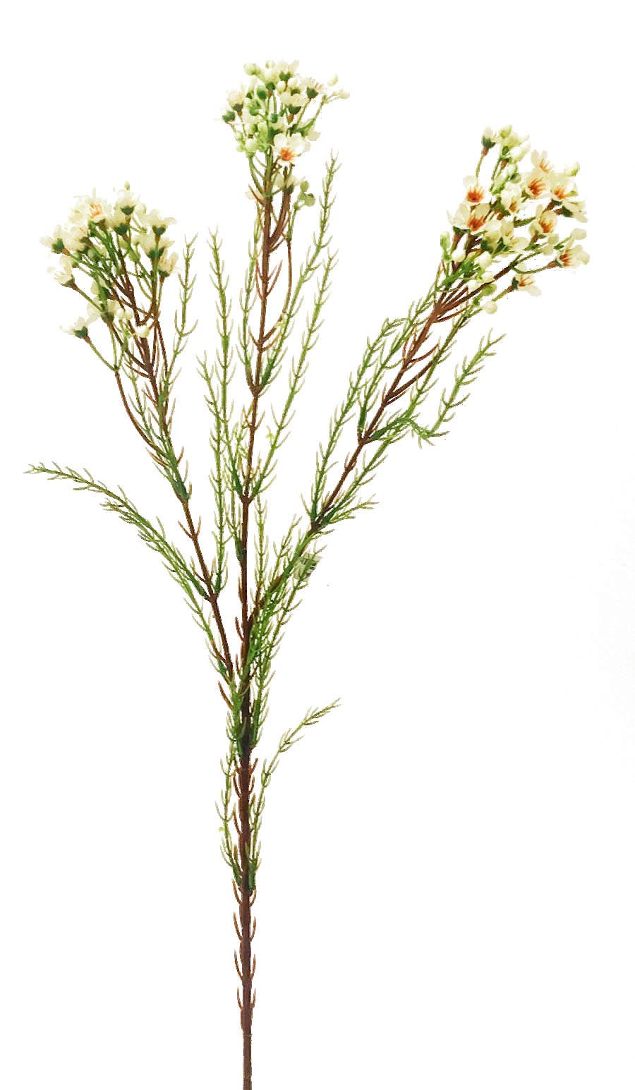 24 Cream & White Wax Flower Spray