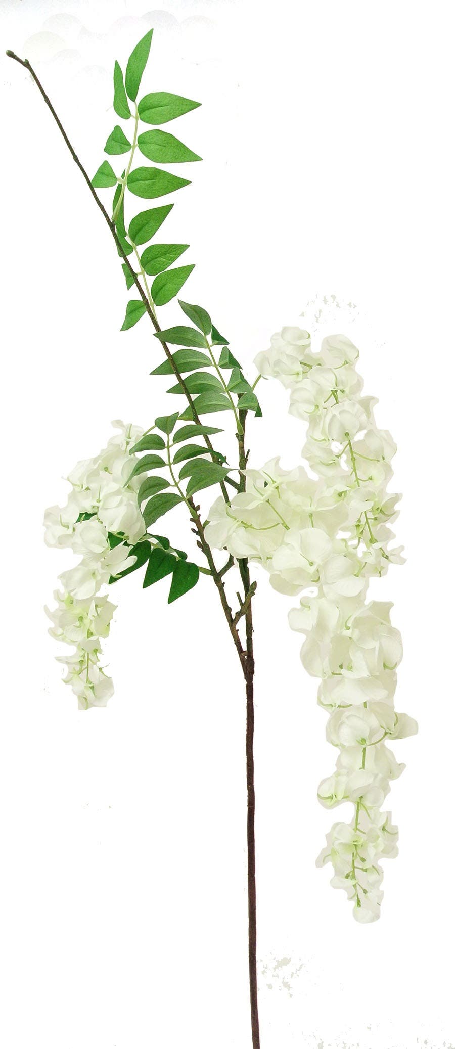 38 Cream & Green Wisteria Branch