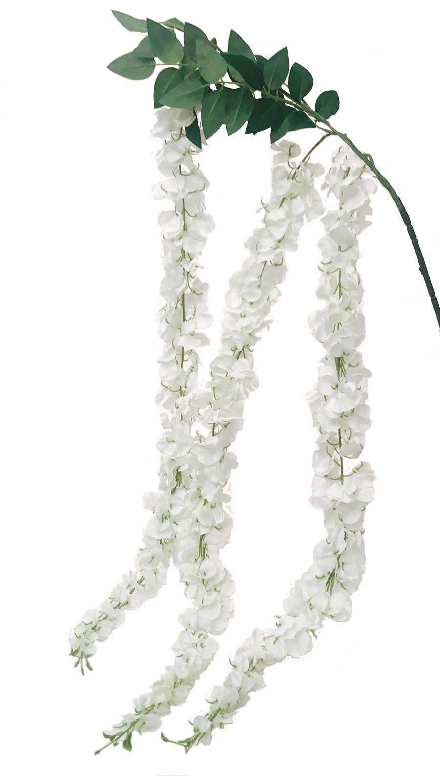 70 Cream & Green Wisteria Branch