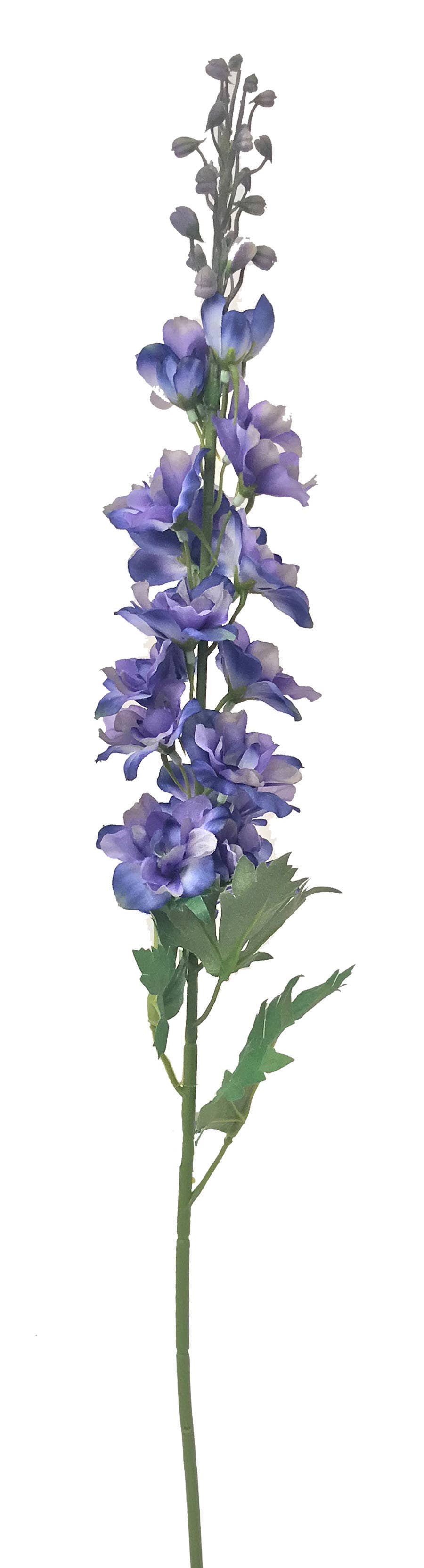 31 Blue Delphinium Garden Stem