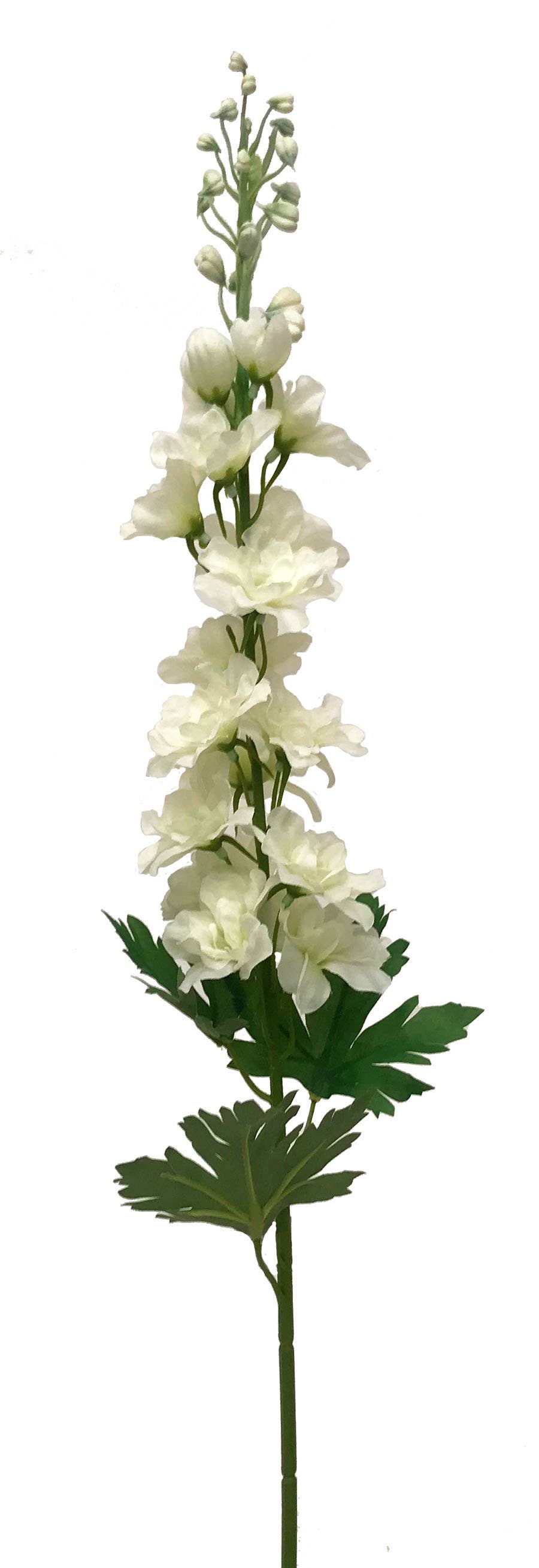 31 Cream & White Delphinium Garden Stem