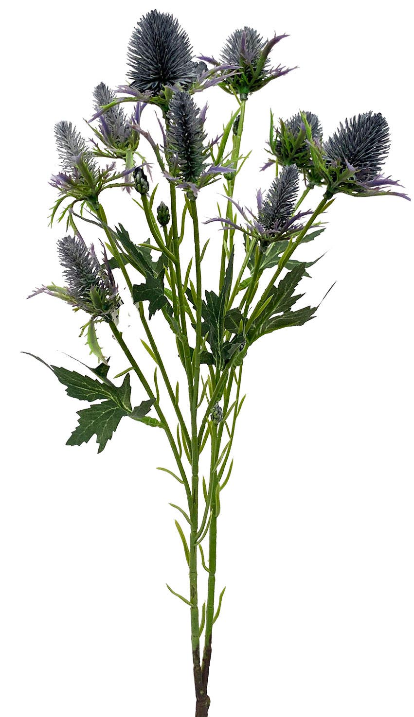 26.5 Blue Thistle Spray