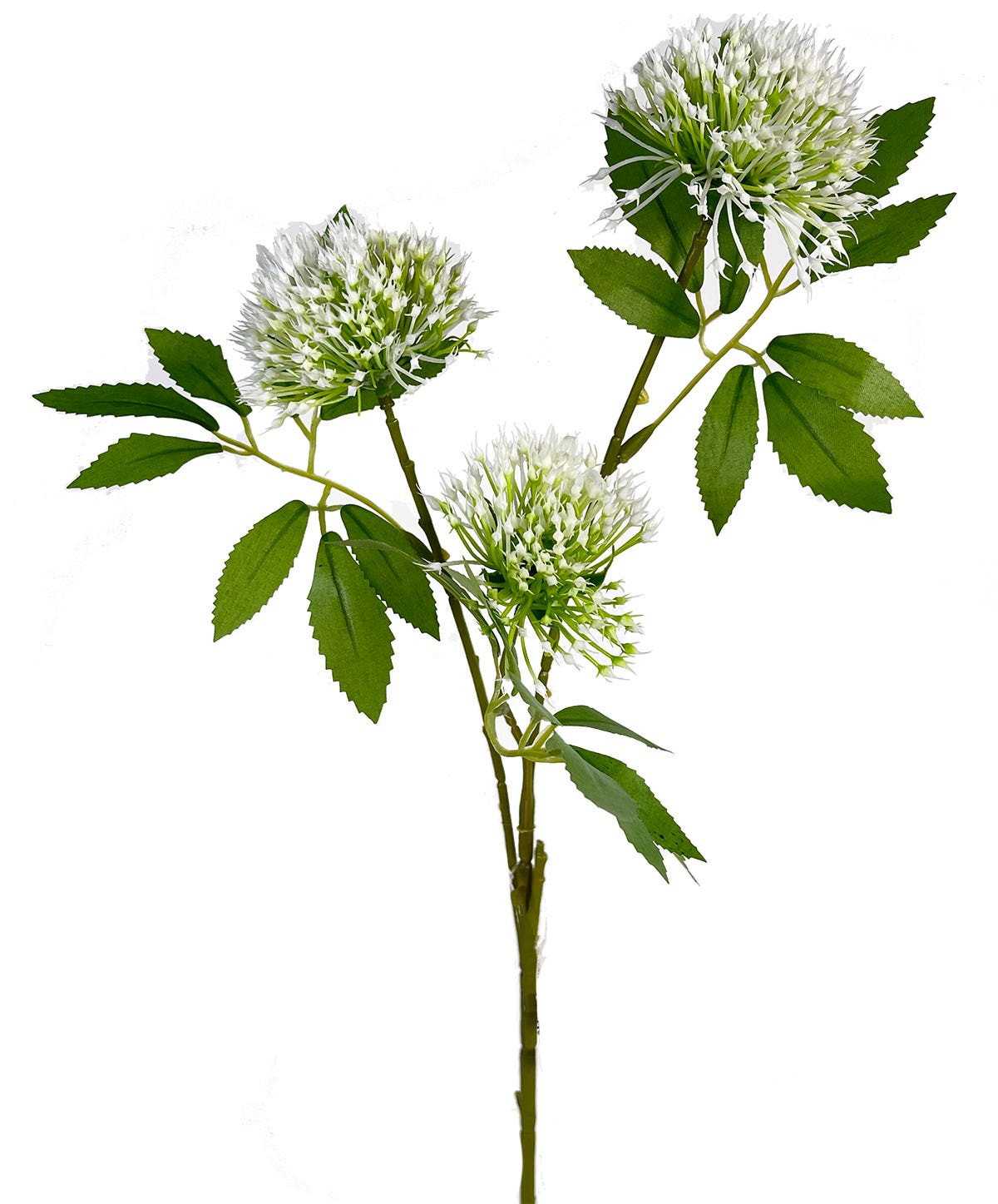 23 White & Green Powder Puff Branch