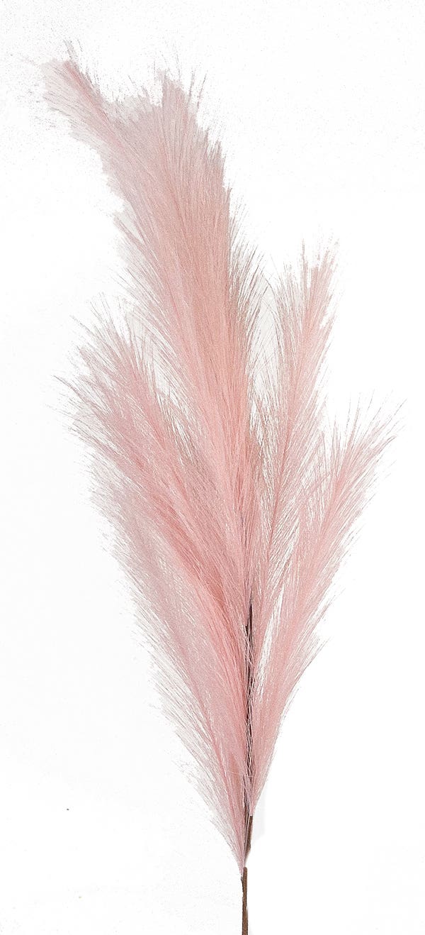 49 Pink Grass Pampas Plume