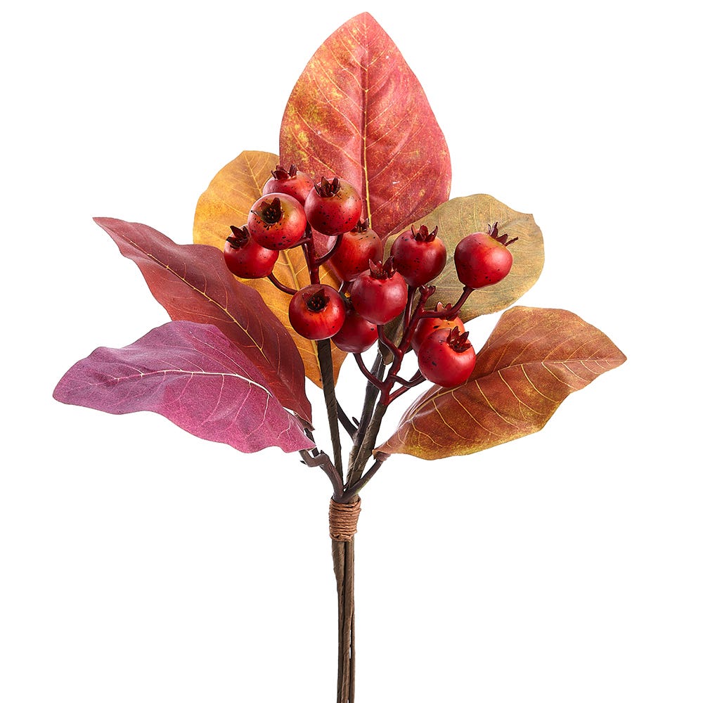 16 Magnolia Leaf Rosehip Pick