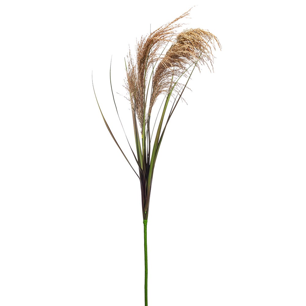 49 Beige and Green Reed Stem