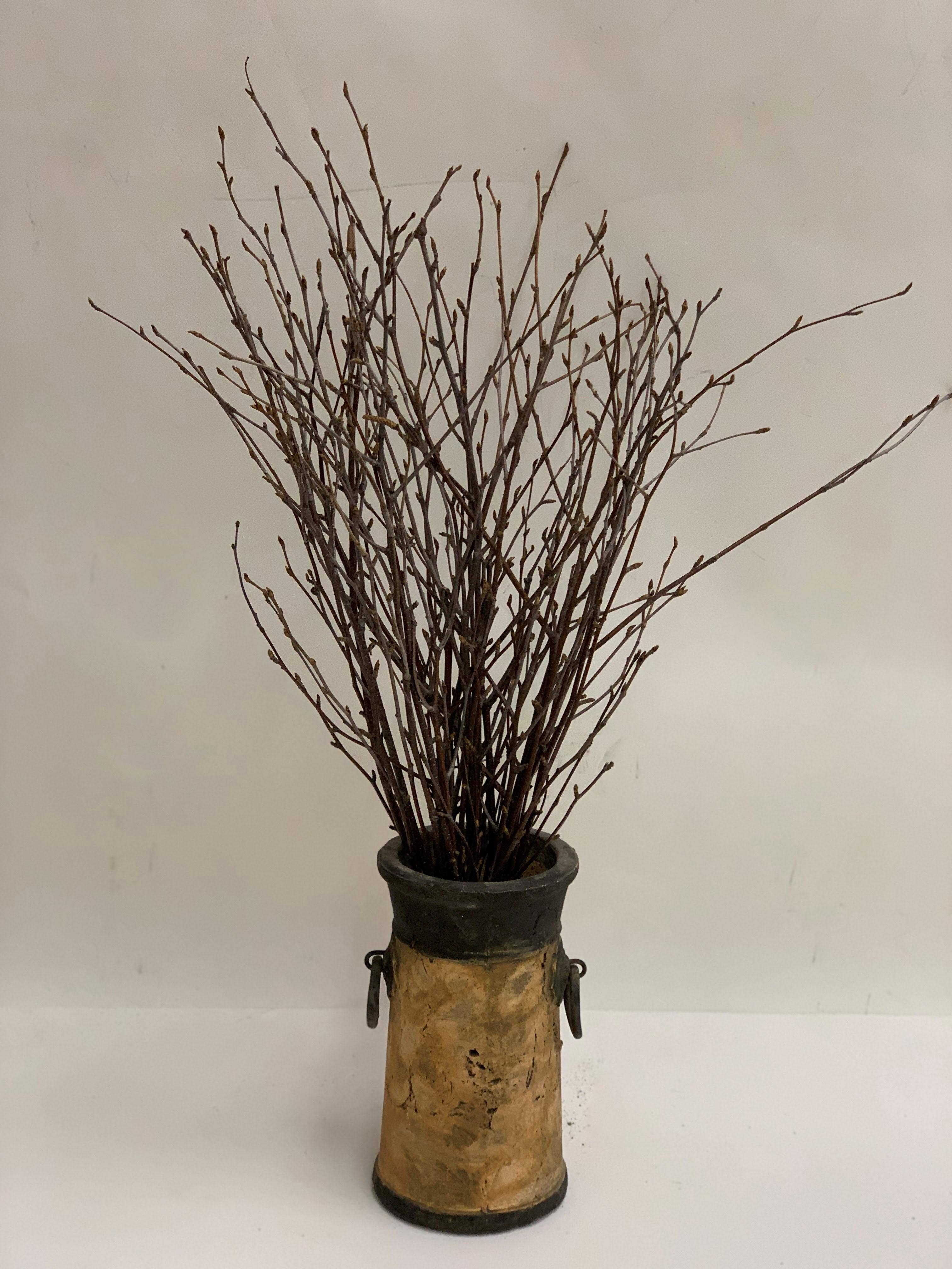 24 Natural Birch Branches, 20-Pack