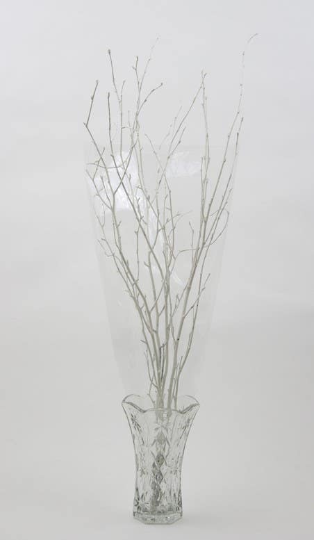 48 White Birch Branches, 12-Pack