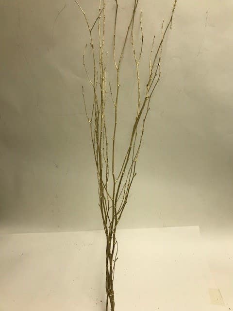 48 Gold Birch Branches, 12-Pack