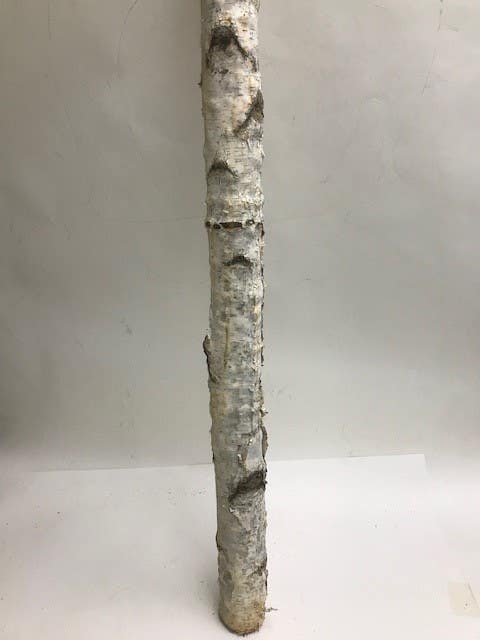 6' x 2 to 3 Birch Pole