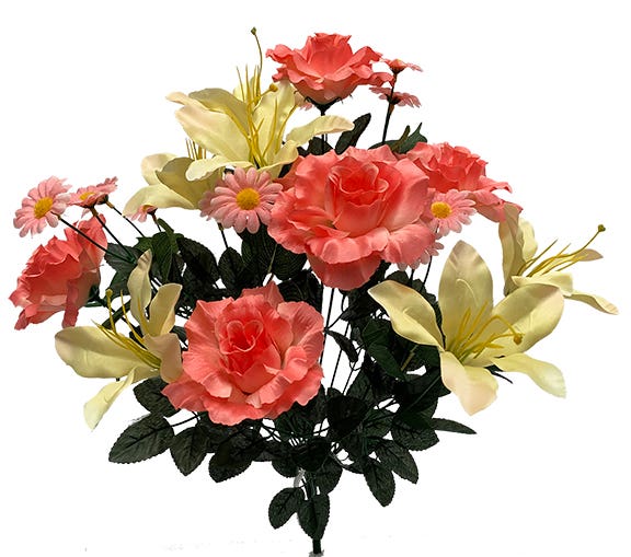 21 Coral & Cream Rose Lily Daisy Bush
