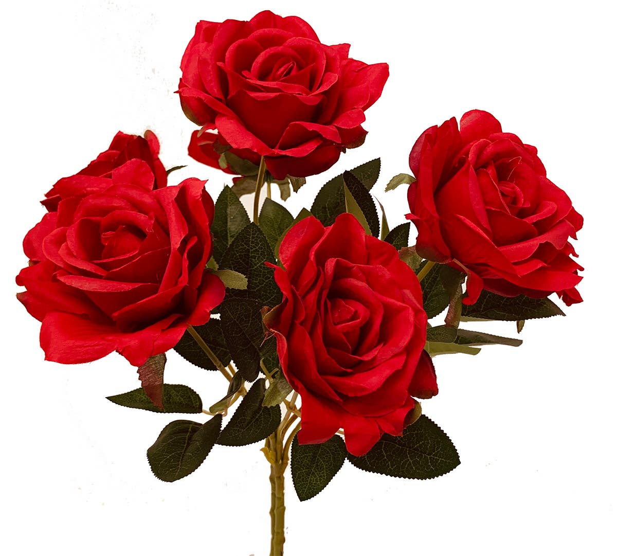 17 Red Rose Ballerina Bush