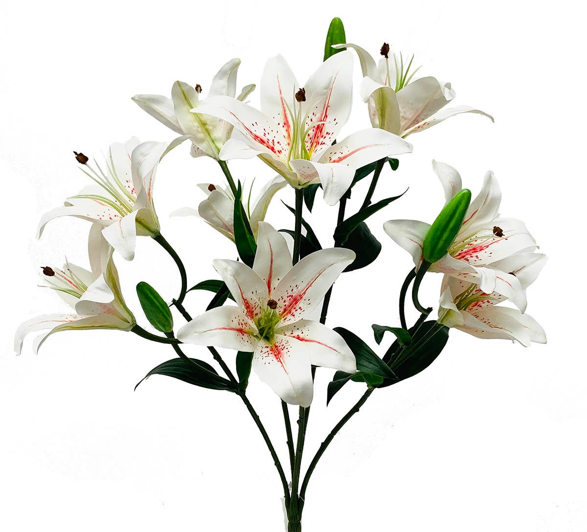 21 Cream & White Lily Bush