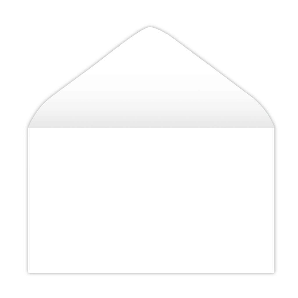 4.25 x 2.5 Blank Envelopes, 500-Box