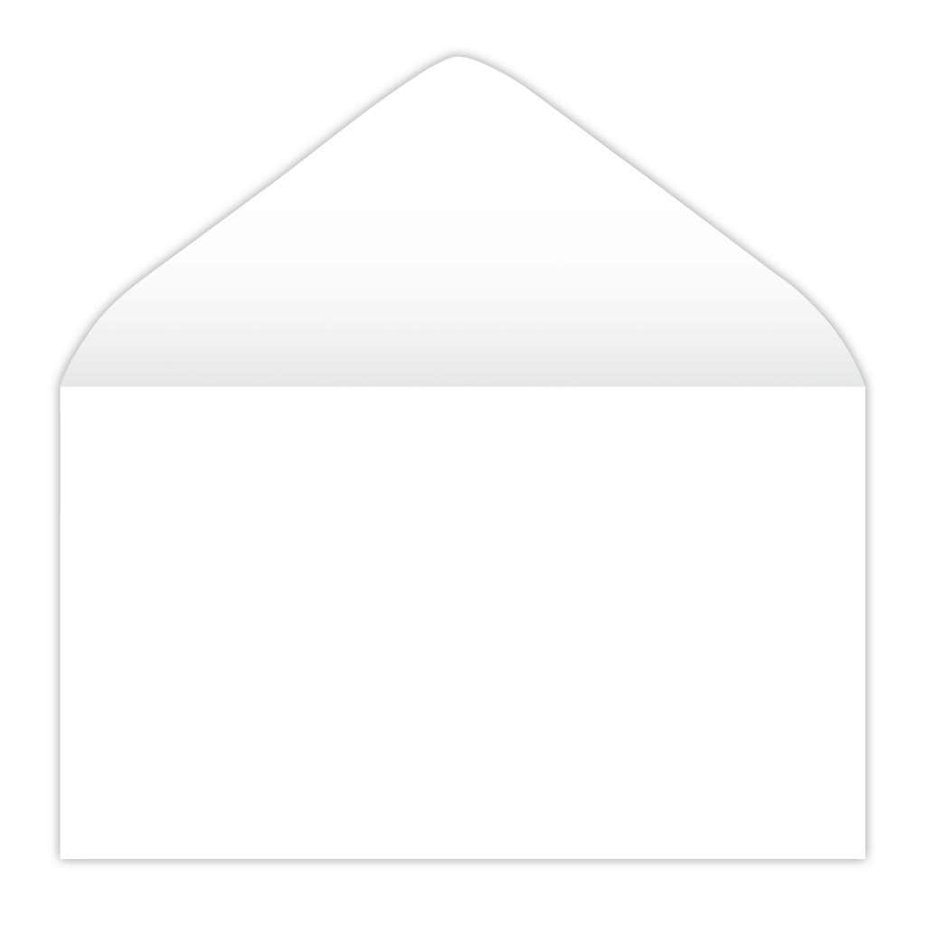 4.25x2.5 Blank Eyelet Envelopes 500-Box