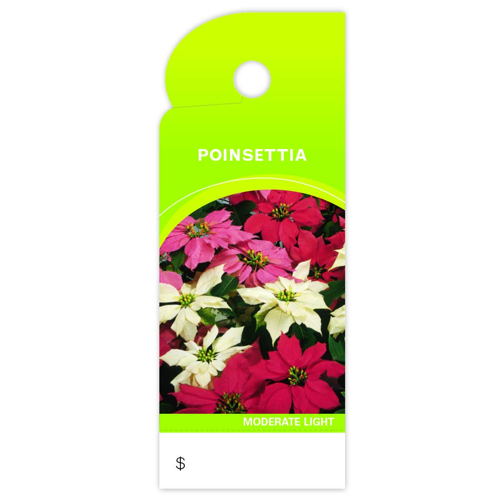 Poinsettia Trim Tags, 100-Pack