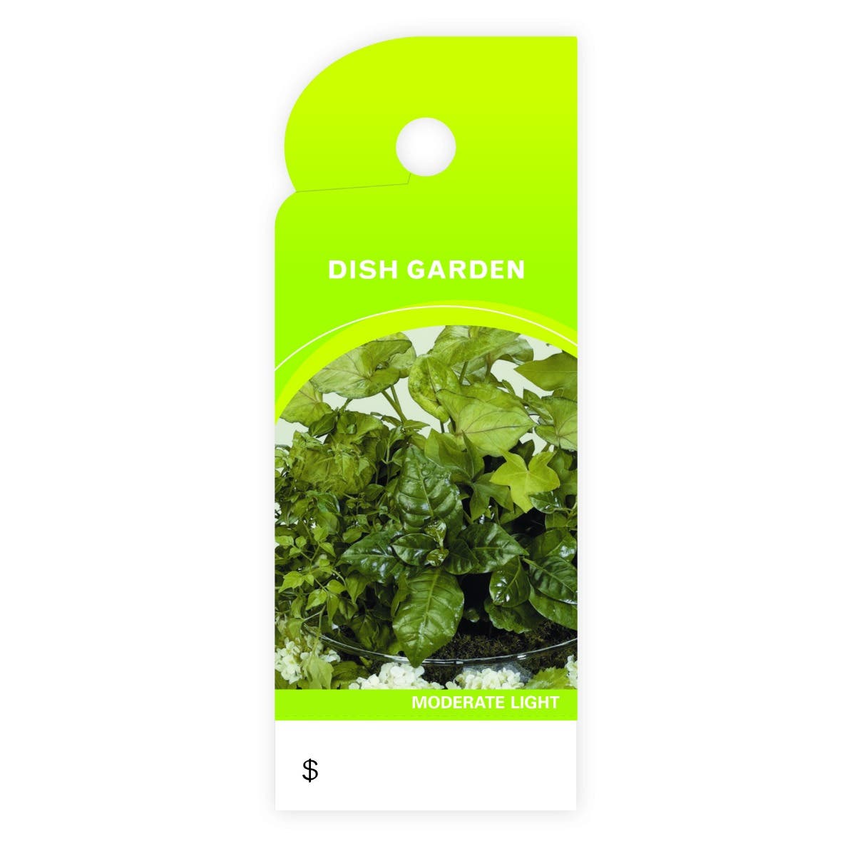 Dish Garden Trim Tags, 100-Pack
