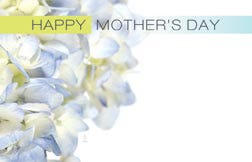 2.25 x 3.5 Mother's Day Cards, 50-Pack