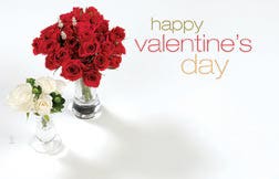 2.25 x 3.5 Valentine's Day Cards, 50