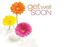 2.25 x 3.5 Get Well Soon Gerberas Cards