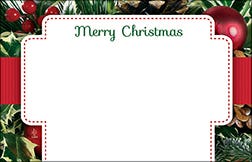 2.25 x 3.5 Christmas Party Cards, 50