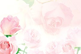 2.25 x 3.5 Pink Roses Blank Cards, 50
