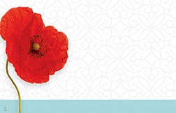 2.25 x 3.5 Red Poppy Blank Cards, 50