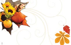 2.25 x 3.5 Autumn Breeze Cards, 50-Pack