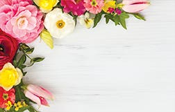 2.25 x 3.5 Happiness In Bloom Cards, 50