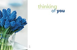 2.25 x 3.5 Thinking Of You Flower Cards