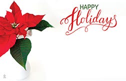 2.25 x 3.5 Holiday Cards, 50-Pack