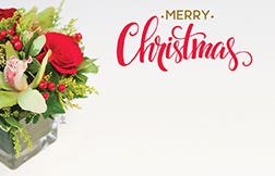 2.25 x 3.5 Christmas Cards, 50-Pack