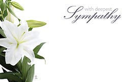 2.25 x 3.5 Deepest Sympathy Lily Cards