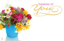 2.25 x 3.5 Thinking Of You Cards, 50