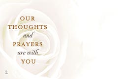 2.25 x 3.5 White Rose Sympathy Cards