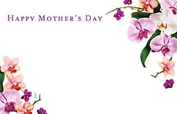 2.25 x 3.5 Orchid Mother's Day Cards