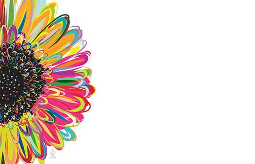 2.25 x 3.5 Color Pop Blank Cards, 50