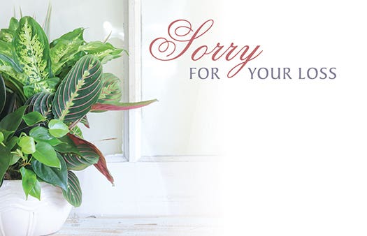 2.25 x 3.5 Plant Sympathy Cards, 50