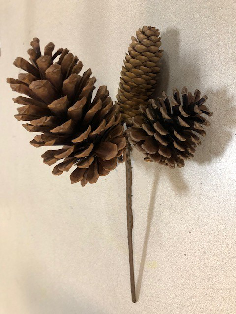 11 Natural Pinecone Pick