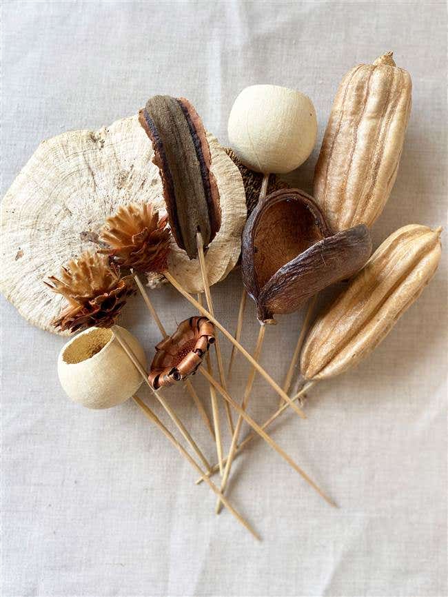 6 Natural Assorted Pods, 100-Case